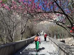 -抱犊寨风景区