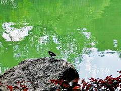 -晓港公园