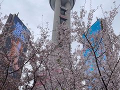 -东方明珠广播电视塔