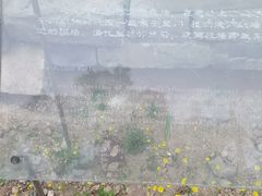 -明皇城东安门遗址