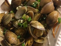 花蛤拼蛏子-沈家门海鲜夜排档(东港店)