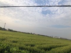 -蓝枪鱼鲜酿啤酒餐厅blue marlin(江宁店)