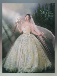 -雪中彩影婚纱摄影·微光艺术中心