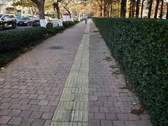 -Rabbit Cafe私房西餐甜点咖啡(栖霞路店)