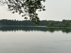 -东湖落雁景区