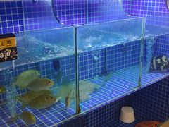 -陆记鹅庄·潮汕菜·狮头鹅(大仟里店)