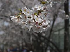 -静安雕塑公园
