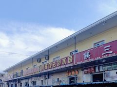 -煲来饱去冷水鱼