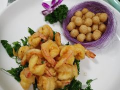 -丁老爷子苏香圆