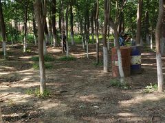 -亲兄弟真人CS团建拓展基地