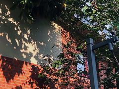-颐和路民国时期公馆风貌区