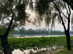 -WhaleSports户外水上运动俱乐部(朝阳公园店)
