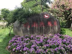 -鹅湖玫瑰文化园