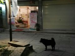 -黄埔古港