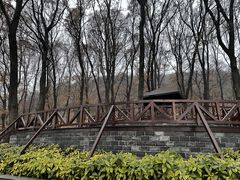 -南京老山国家森林公园