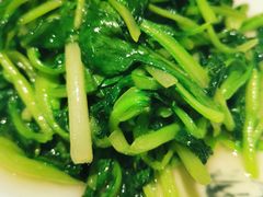 清炒鸡毛菜-19号私房菜(云南路店)