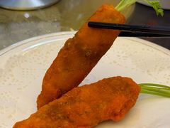 -丁老爷子苏香圆