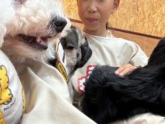 -和它·交个朋友·狗咖猫咖(爱琴海店)