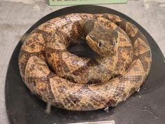 -下渚湖国家湿地公园科普馆