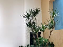 -XI·LaundryCafe 喜咖自助洗衣咖啡店