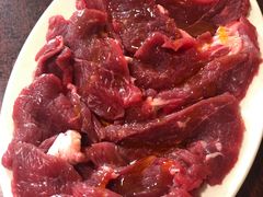 三角肉-鞍山戰