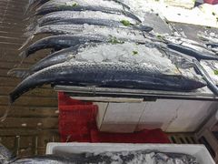 -活鲜水产品批发交易市场