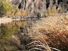 -百里山水画廊乌龙峡谷