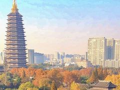 -红梅公园