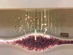 -赵小姐丨新中餐(曲江店)