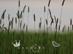 -漕湖湿地公园