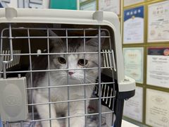 -博特宠物医院24h犬猫全科.骨科·异宠