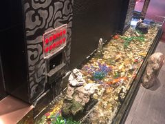 -金太阳海鲜烧烤·本地人餐厅(东纬路旗舰店)