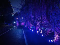 -杭州城北体育公园