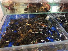 水产区-东江海鲜酒家(艺都分店)