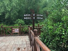 -大亚湾红树林城市湿地公园