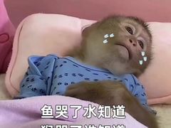 -魏家凉皮(博水商务大厦店)