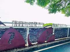 -大湾区中央湿地公园