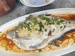 -金鱼妈妈 山野·食趣(荫山街店)