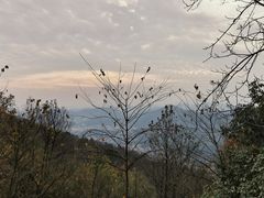 -比格比萨自助(德思勤四季汇店)