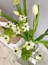 -无界瑜伽普拉提