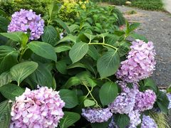 -常州古运河南大街文化旅游区-人民公园