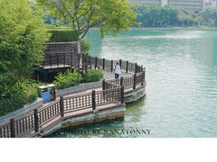 -白鹭洲公园
