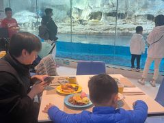 -帝企鹅自助餐厅•儿童岛•真企鹅(长隆企鹅酒店)