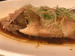 -锦江宾馆-花园餐厅