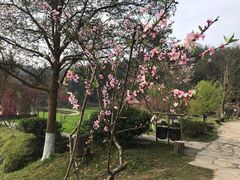 -常德桃花源景区
