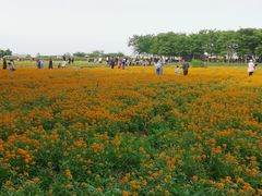 -江苏三台山国家森林公园