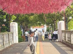 -苏州太湖西山岛开心农场