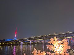 -武汉两江游览·夜游长江(汉口粤汉码头)