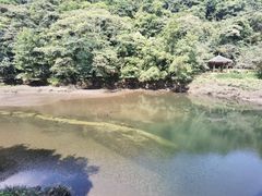 -广州市石门国家森林公园