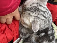 -宠颐生中康贝怡动物医院